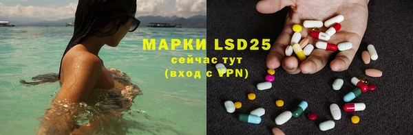 мет Бородино