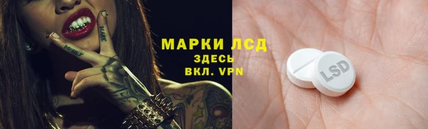 мет Бородино