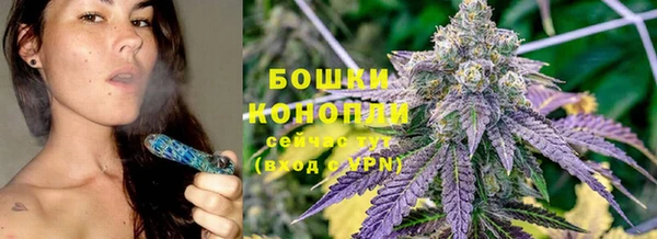 мет Бородино
