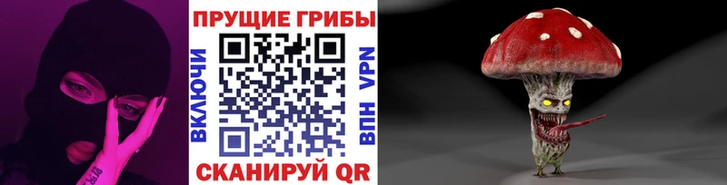сколько стоит  Выкса  Псилоцибиновые грибы GOLDEN TEACHER 